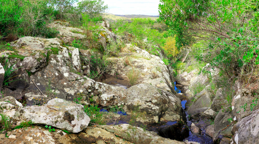 arroyo ramallo lavalleja, minas, chacras, uruguay, reserva natural